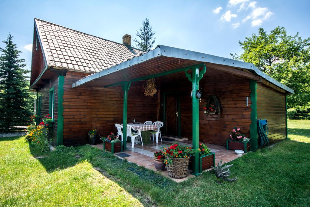 Gaja-Bialowieza Wiluki Dış mekan fotoğraf